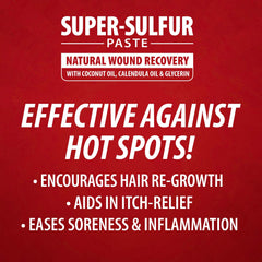 Jeffers Super Sulfur Natural Healing Paste for Dogs, Cats & Horses 8 oz – Wound Care, Skin & Coat Support for Animals, Soothes Itching & Inflammation, Dry Rough Flaky Skin, Hot Spots, Paw, Hoof Care