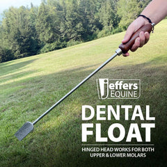 Jeffers Stainless Steel Dental Float for Horses - 26" Long Handle Equine Tool with Hinged Head, Concave Blade, Horse Oral Care Floating Instrument for Barn, Stable, Veterinary Equipment