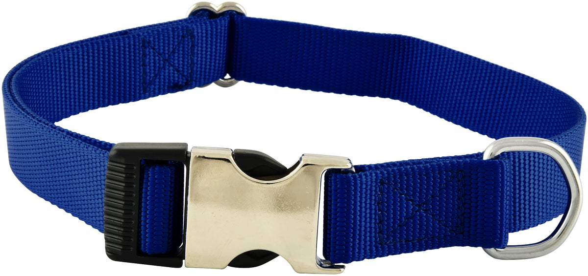 Millennium Collar, 1" x 18"-26"Color: Royal Blue