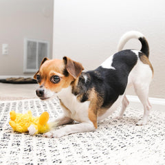 KONG Duckie Dog Toy, Extra Small, Yellow