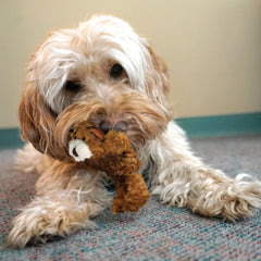 KONG - Plush, Low Stuffing Squeak Teddy Bear Dog Toy -Replacement Squeaker Included- For X-Small Dogs