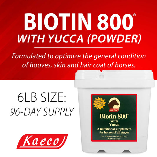 Biotin 800 Powder 6 lb