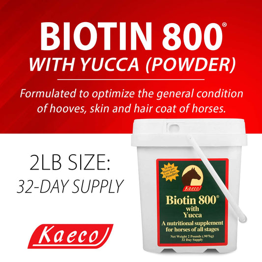 Biotin 800 Powder 2 lb