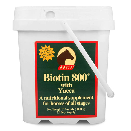 Biotin 800 Powder 2 lb