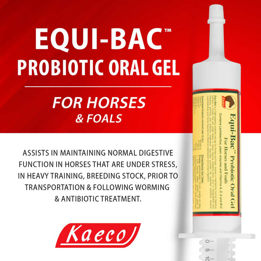 Equi-Bac Oral Gel 80 ml, Probiotic Oral Gel for Horses and Foals, Contains Lactobacillus, yeast, enzymes, and Vitamins A, D, E, and B12