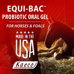 Equi-Bac Oral Gel 80 ml, Probiotic Oral Gel for Horses and Foals, Contains Lactobacillus, yeast, enzymes, and Vitamins A, D, E, and B12