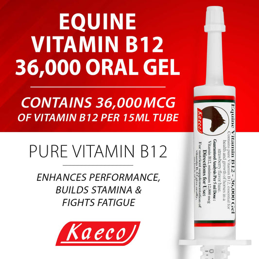 Equine Vitamin B12 36000 gel 15 ml tube- May come in brown