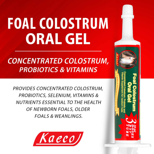Foal Colostrum Oral Gel 30 ml tube