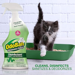 OdoBan Disinfectant Ready-to-Use Eucalyptus 32oz Spray