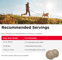 Nutri-Vet Hip & Joint Regular Strength Chewables for Dogs, Liver, 75 count