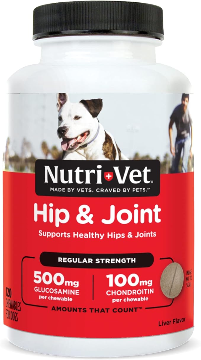 Nutri-Vet Hip & Joint Regular Strength Chewables for Dogs, Liver, 120 count