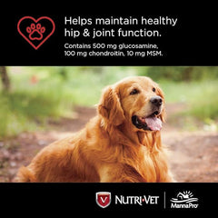 Nutri-Vet Hip & Joint Regular Strength Chewables for Dogs, Liver, 180 count