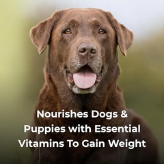 Dyne High Calorie Liquid for Dogs, 16 oz