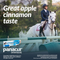Panacur Dewormer Horse Paste 10%, 100mg | 3-Pack