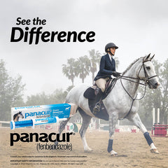 Panacur Dewormer Horse Paste 10%, 100mg | 3-Pack