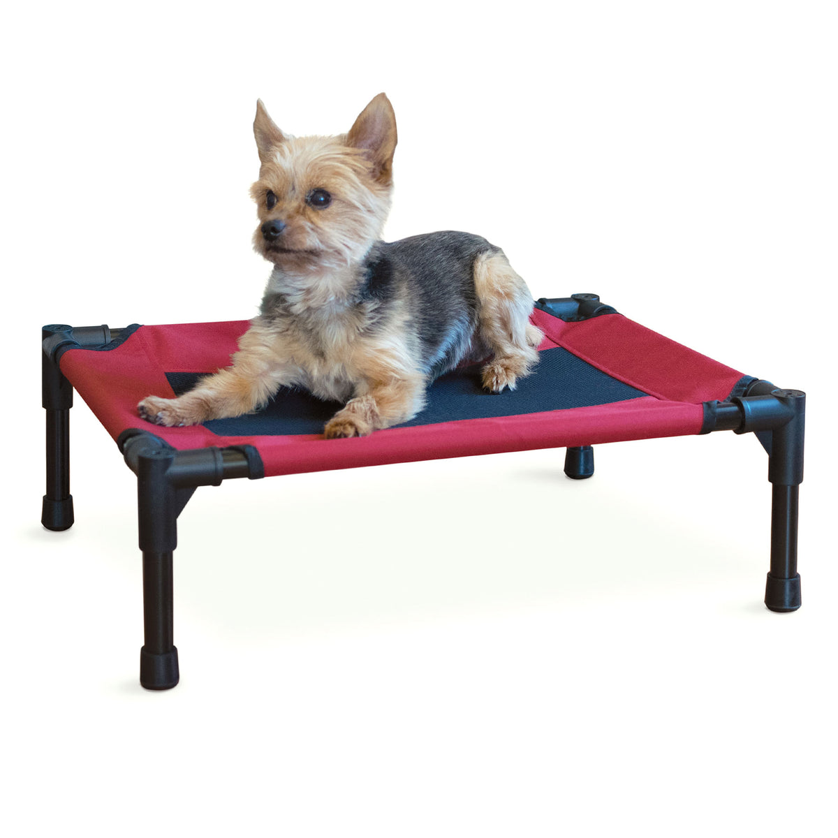 Elevated Pet Bed, Small Color: Barn Red