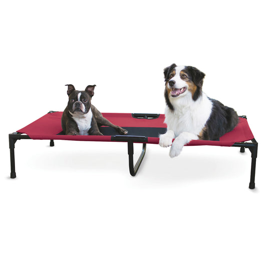Elevated Pet Bed, X-Large Color: Barn Red