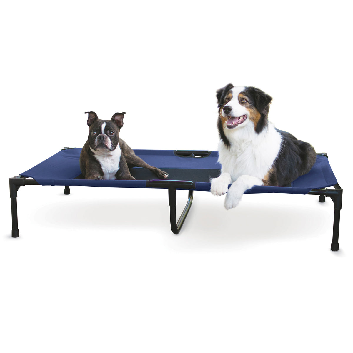 Elevated Pet Bed, X-Large Color: Navy Blue