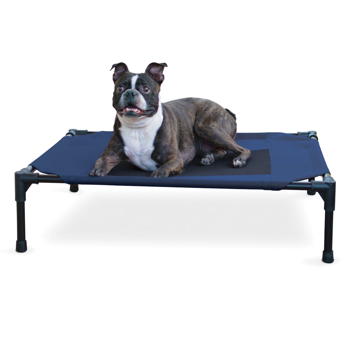 Elevated Pet Bed, Medium Color: Navy Blue