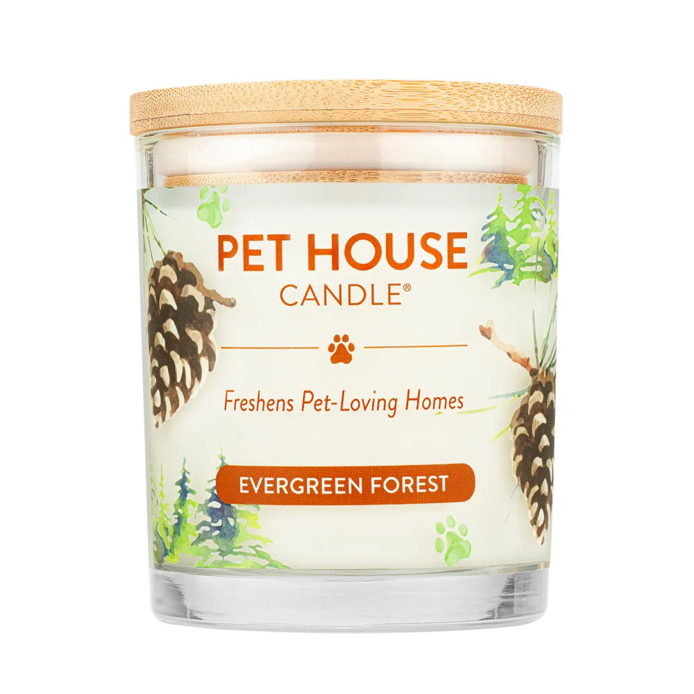 9oz Candle, Evergreen Forest