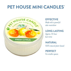 Mini Candle, Fresh Citrus