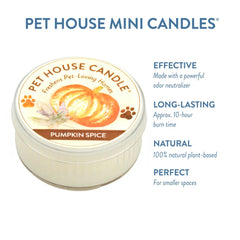 Mini Candle, Pumpkin Spice