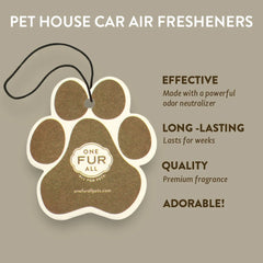 Car Fresheners, Pumpkin Spice