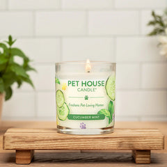 9oz Candle, Cucumber Mint
