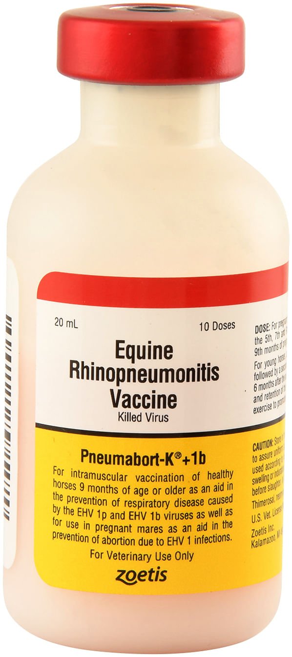 Pneumabort-K+1B- 10/d
