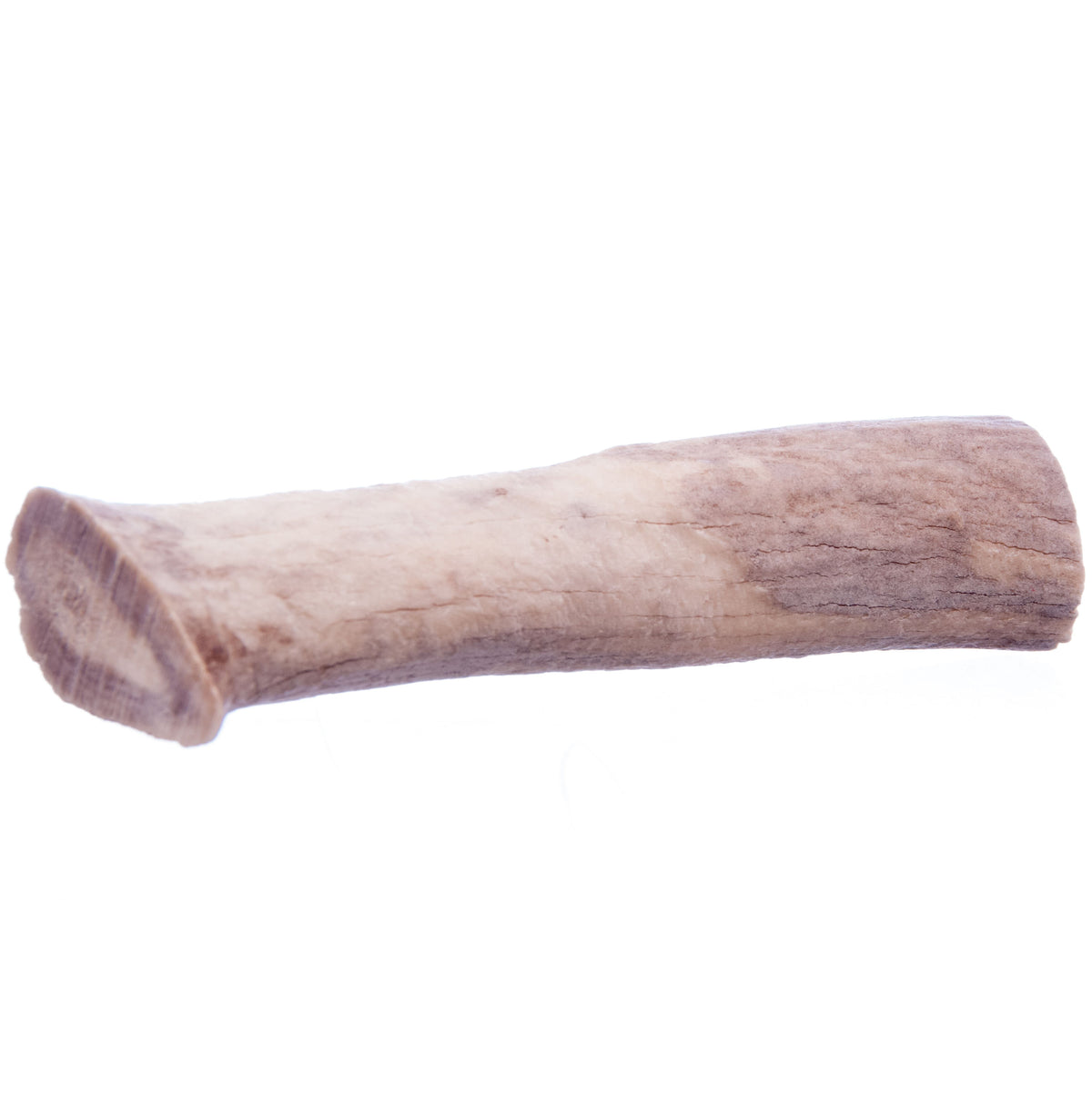 Antlerz (Mediano) – Masticable para perros de asta de ciervo natural, duradero y rico en minerales, fabricado en EE. UU.