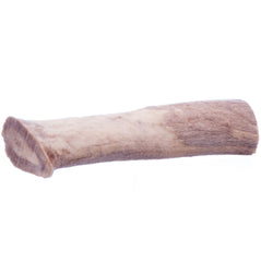 Antlerz (Mediano) – Masticable para perros de asta de ciervo natural, duradero y rico en minerales, fabricado en EE. UU.