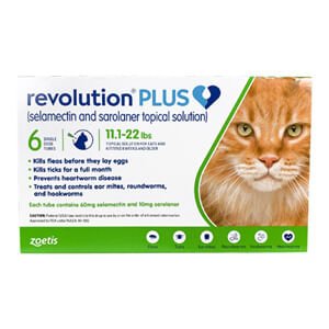 Rx Revolution Plus Topical Solution Feline 11-22 lbs x 6 month