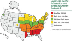 Rescue! Japanese Beetle Refill