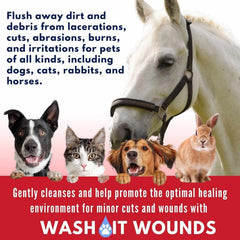 Wash It Wound Wash for Pets