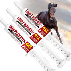 Jeffers Equine Probiotic Oral Gel for Horses, 30 cc Syringe – Supports Healthy Gut, Natural Appetite & Digestion, Horse Supplement w/ Prebiotics, Live Microbials, Vitamins A B E, USA Made, 3 Pack