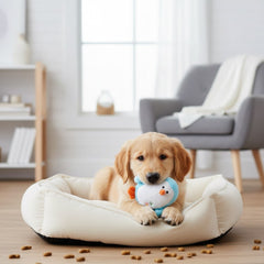 Jeffers 3" Plush Penguin Squeaker Dog Toy, Light Blue - Small Soft Plush Pet Toy with Squeaker, Lightweight Stuffed Toy for Puppies & Small Dogs, Indoor Play & Cuddle Time, Travel Friendly - 1 Pack