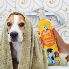 P2 Probiotic Power Pet Shampoo, 12 oz – Gentle Organic Probiotic Shampoo for Dogs, Cats & Puppies, Sensitive Skin, Coat Care, Odor Control, Bath & Grooming - Fresh Mint Vanilla Scent