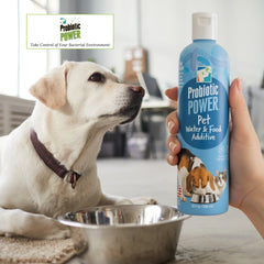 Probiotic Power Pet Water Additive 12 oz
