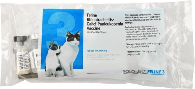 Solojec Feline 3 - s/d