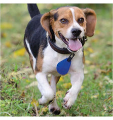 Spectra Shield Medallion, Small Dogs 14 to 29 lbs.