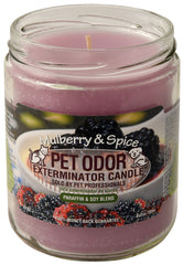 Pet Odor Exterminator Candle, Mulberry & Spice, 13 oz