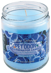 Pet Odor Exterminator Candle, Blue Serenity, 13 oz