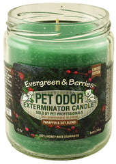Pet Odor Exterminator Candle, Evergreen & Berries, 13 oz