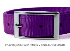 Jeffers Pet Solid Nylon Dog Collars, Purple, 1"W x 16"L – Adjustable, Durable & Safe for Dogs, Lightweight & Double Ply Design, Stylish Pet Accessories - Perfect for Training, Walking & Tracker