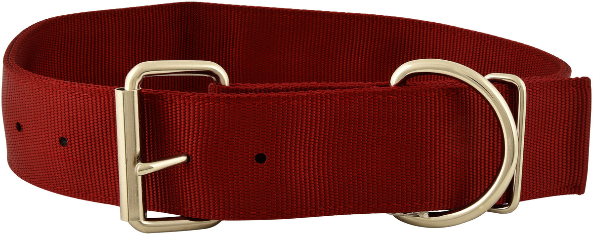 Heavy Duty 2" Wide 21" Nylon Dog Collar Color: Red