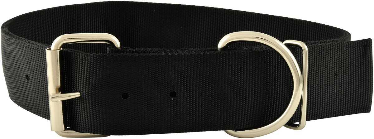 Heavy Duty 2" Wide 27" Nylon Dog Collar Color: Black