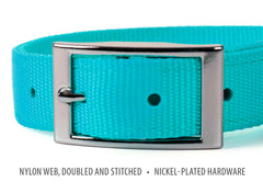 Jeffers Solid Web Nylon Dog Collar with Nickel Plated Hardware, 1"Wx18"L - Adjustable Durable Nylon Pet Collar for Small to Medium Dog, Perfect for Walking, Training, Travel, & Outdoor - Turquoise