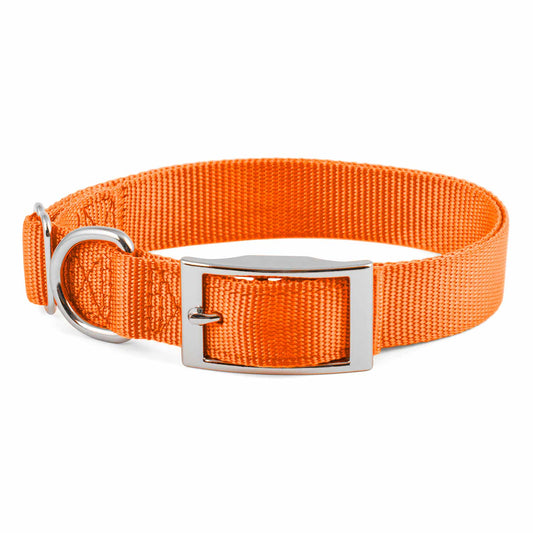 Adjustable Dog Collar 1"W x 14"-24"L, Orange