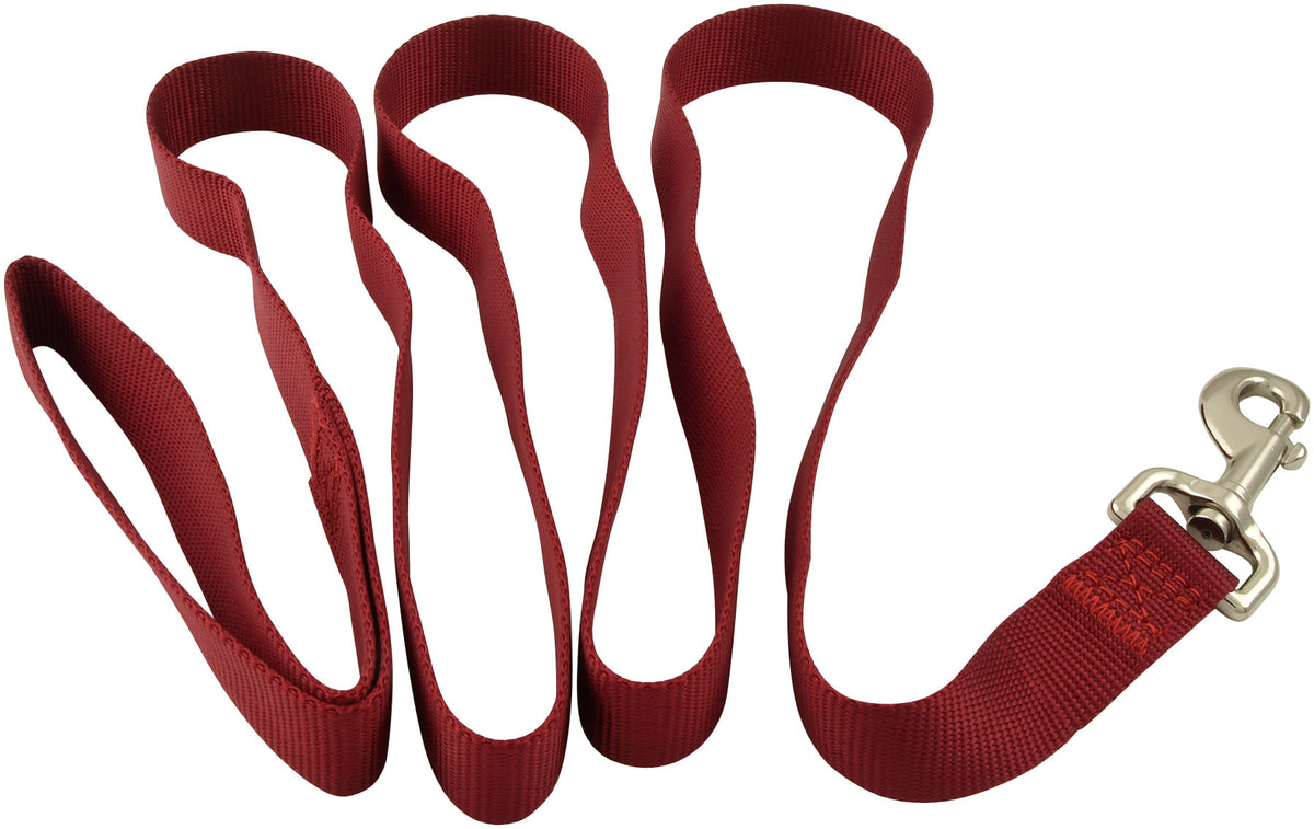 Jeffers Pet Dog Leash 5/8"W x 4'L– Heavy Duty Nylon Lead for Small Medium Large Dogs, Training Walking Leash for Pets, Durable Safety Strap for Outdoor, Indoor, Crate, Kennel, House Use - Red