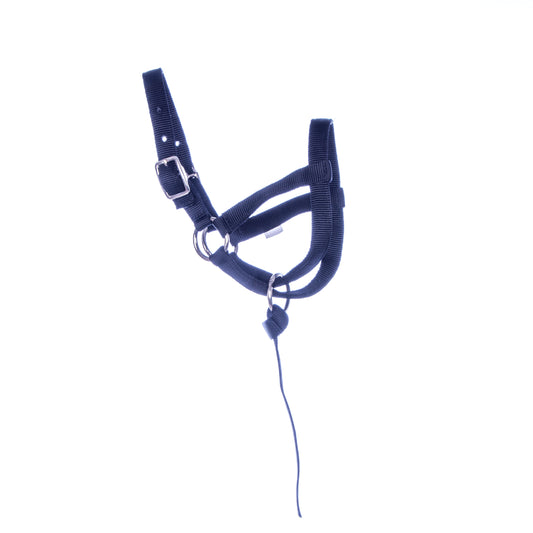 Jeffers Nylon Llama Halter with 10" Catch Strap, Black - Adjustable Figure 8 Livestock Halter, 3/4" Double Layered Webbing Farm Animal Lead Training Halter Equestrian Tack - Adult